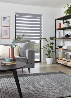 Mid open port Grey Livingroom Dual Shades