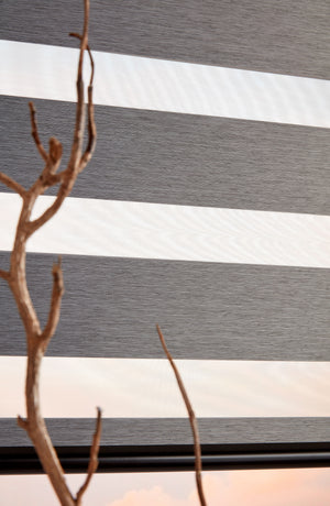 Rimini ash Palremo Dual Shades