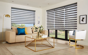 Open Ecco stone Livingroom Dual Shades